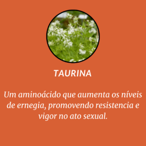 feno-grego-2.png
